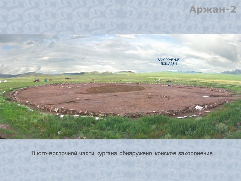 ЗАХОРОНЕНИЕ ЛОШАДЕЙ Аржан-2 В юго-восточной части кургана обнаружено конское захоронение